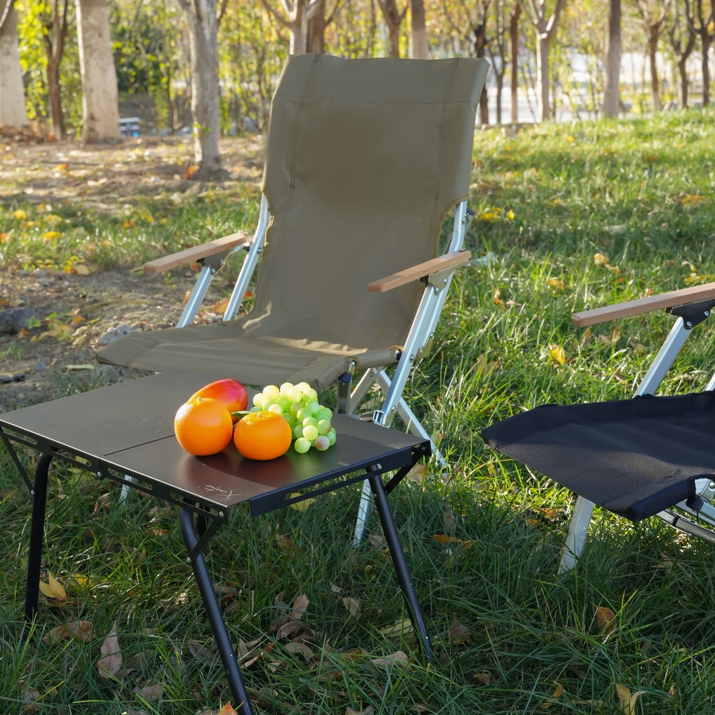 Camping chairs lawn chairs folding chairs for outside beach chair for outside, travel, picnics